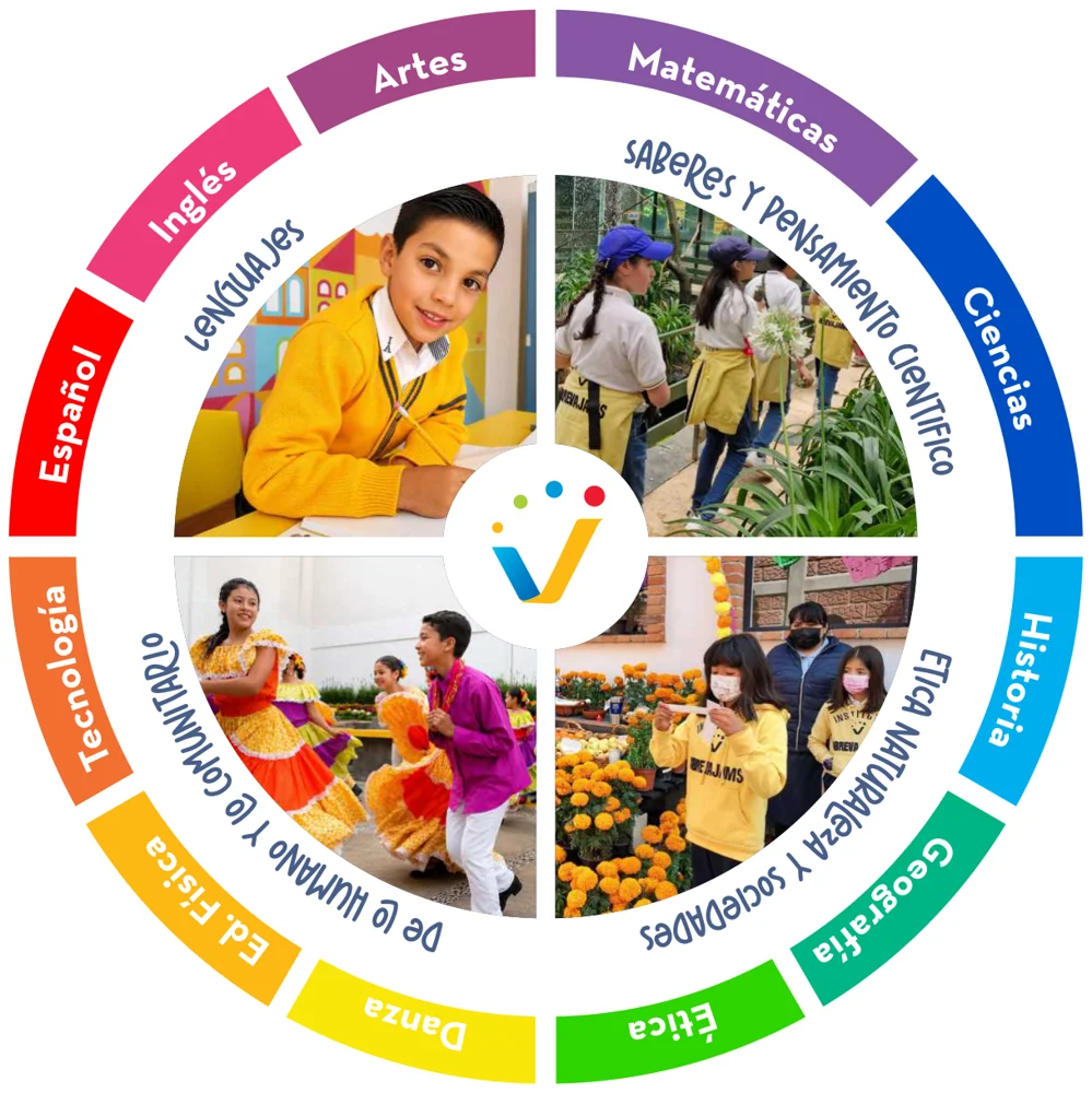 Mapa curricular de Primaria: campos formativos y asignaturas