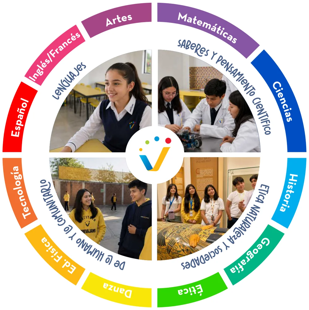 Mapa curricular de Secundaria: campos formativos y asignaturas